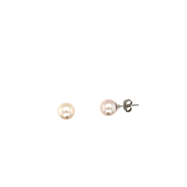 14k White Gold 7mm Akoya Pearl Stud Earrings