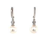 14k White Gold Pearl and Diamond Drop Earrings
