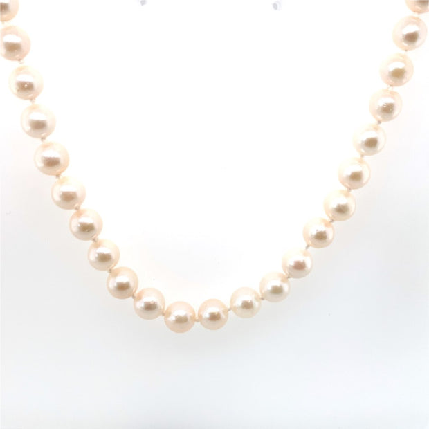 14k White Gold 6-6.5mm Akoya Pearl Strand